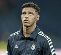 佩里斯诺击败尼博汉